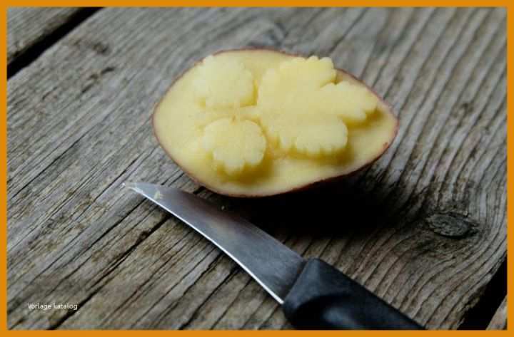 Kartoffeldruck Vorlagen Kartoffeldruck