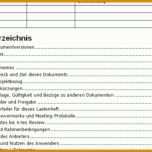 Außergewöhnlich Pflichtenheft Projektmanagement Vorlage 1200x627