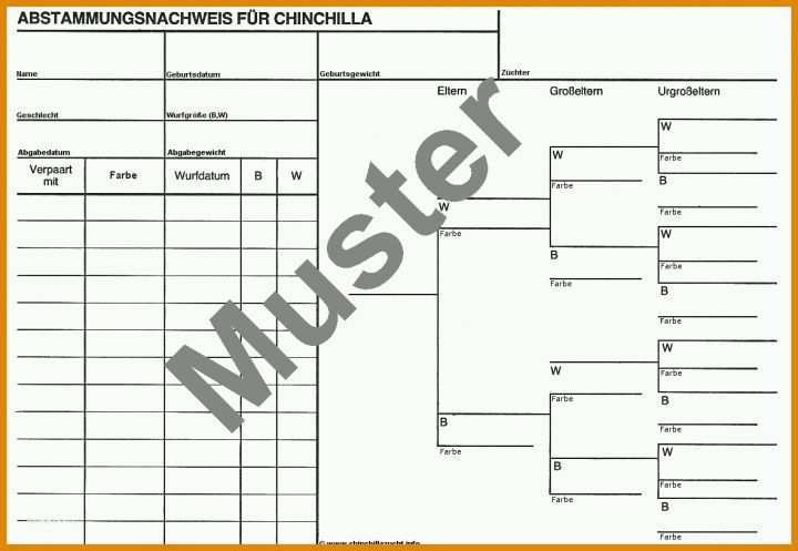 Empfohlen Stammbaum Powerpoint Vorlage 1179x814