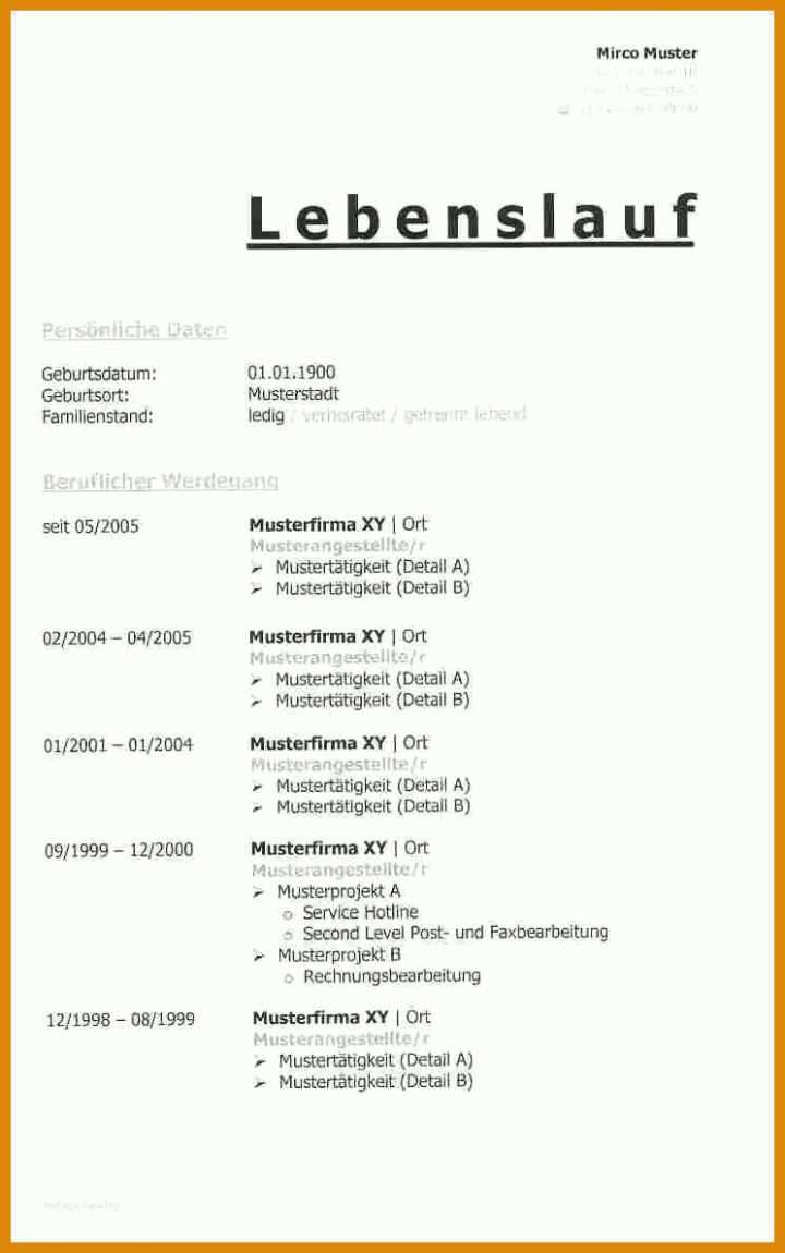 Schockierend Tabellarischer Lebenslauf Pdf Vorlage 744x1188