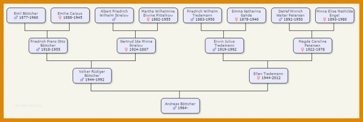 Allerbeste Vorlage Familienstammbaum 988x332