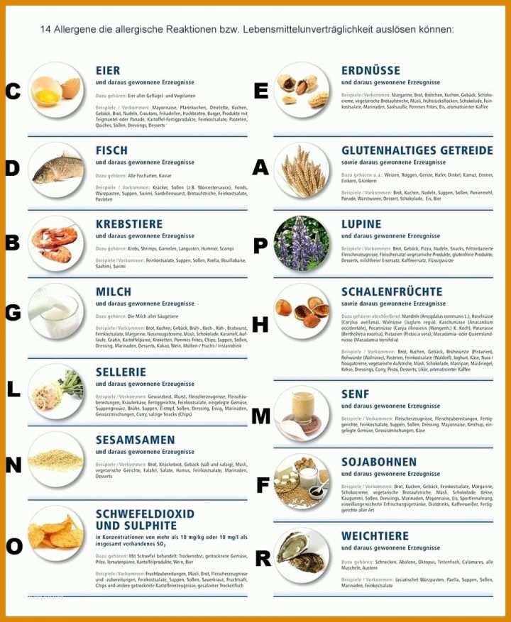 Modisch Allergene Tabelle Vorlage 915x1114