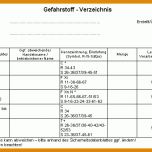 Bestbewertet Gefahrstoffverzeichnis Vorlage 874x420