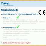 Singular Klinische Bewertung Medizinprodukte Vorlage 1365x1024