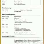 Unvergleichlich Lebenslauf Openoffice Vorlage 736x1180