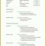 Faszinieren Openoffice Lebenslauf Vorlage 1018x1432