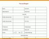 Ideal Personaldatenblatt Vorlage Excel 718x555