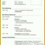 Fantastisch Schlichter Lebenslauf Vorlage 736x1180