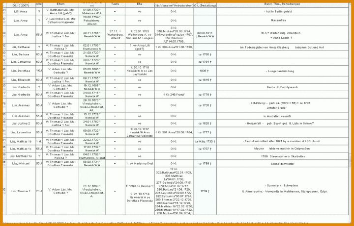 Überraschen Stammbaum Vorlage Excel 1249x800