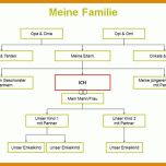 Einzigartig Stammbaum Vorlage Kostenlos 770x513