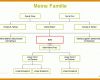 Bestbewertet Stammbaum Vorlage Pdf 770x513