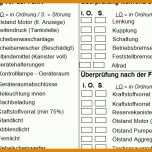 Hervorragen Fahrzeug Checkliste Vorlage 785x455