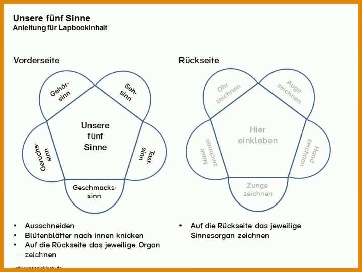 Lapbook Vorlagen Zum Ausdrucken Sinne Lapbook