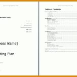 Bemerkenswert Marketing Plan Vorlage Word 729x513