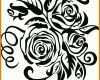 Modisch Rose Vorlage 793x748