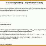 Selten Schenkungsvertrag Muster Vorlage Zum Download 724x649