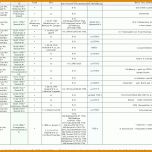 Staffelung Stammbaum Vorlage Pdf 1249x800