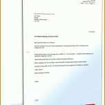 Perfekt Vattenfall Gas Kündigen Vorlage 1600x2100