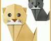 Einzigartig Papercraft Vorlagen Kostenlos Katze 800x800