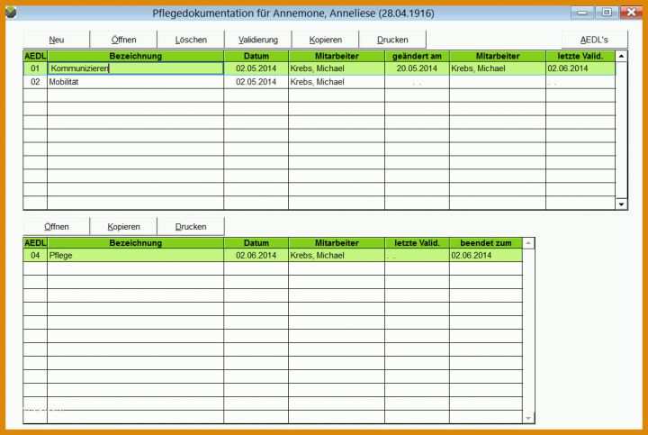Bemerkenswert Pflegedokumentation Vorlage 1156x775