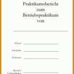 Moderne Praktikumsbericht Vorlage Pdf 988x1766