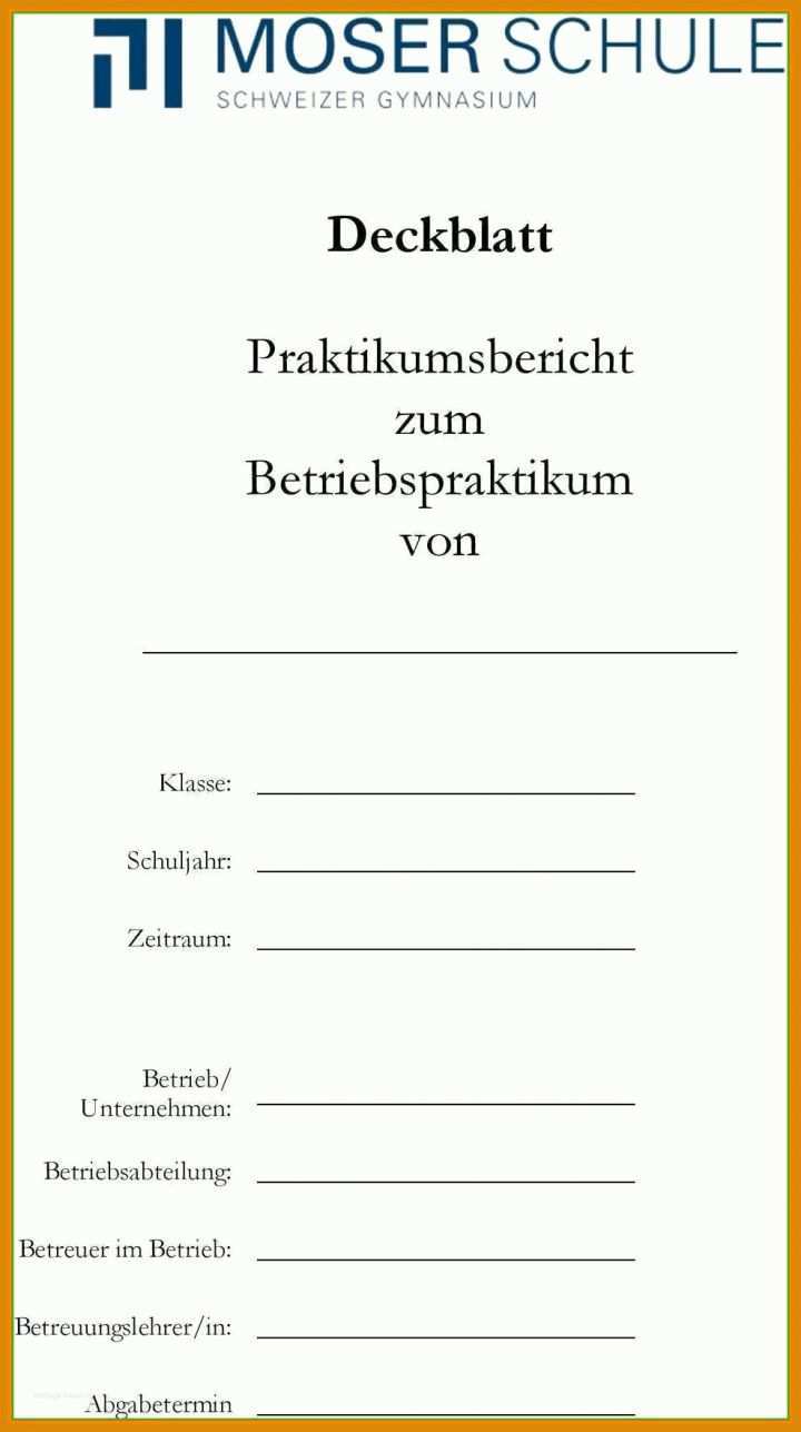 Ausnahmsweise Praktikumsbericht Vorlage Pdf 988x1766