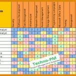Hervorragen Skill Matrix Vorlage Excel Deutsch 821x431