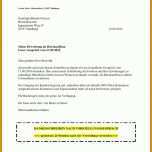 Tolle Stofftier Nach Vorlage 768x1024