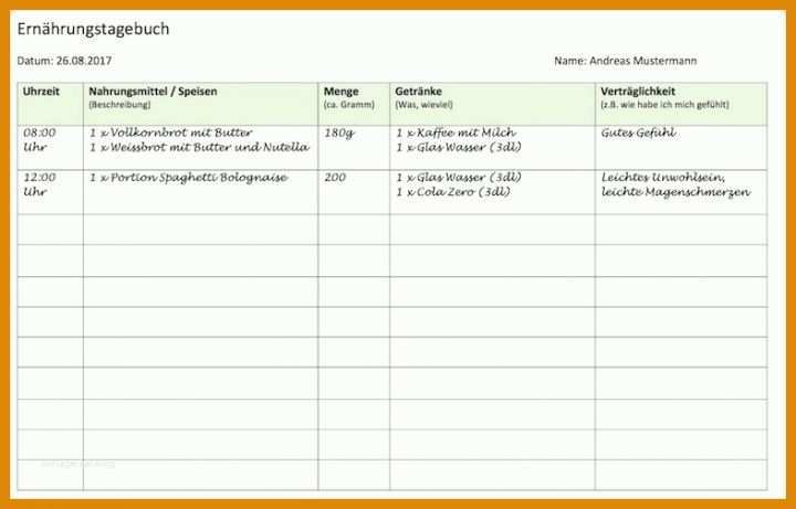 Ernährungstagebuch Vorlage Excel Ernaehrungstagebuch Vorlage