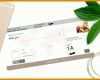 Einzigartig Flugticket Vorlage Download Kostenlos 1024x535