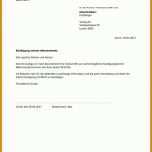 Neue Version Kündigungsschreiben Verein Vorlage 812x1144
