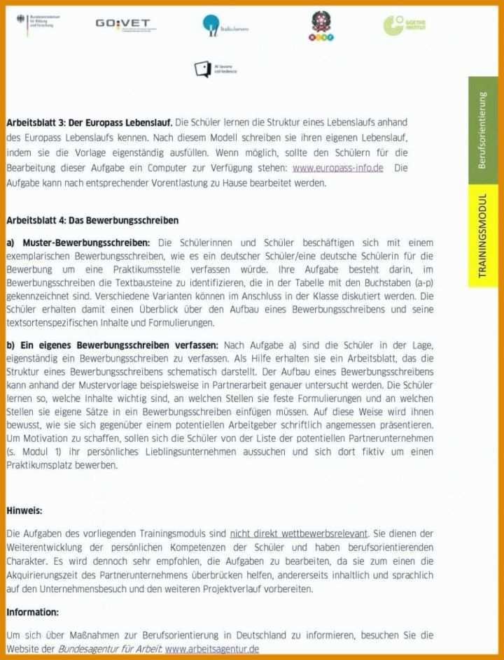 Perfekt Lebenslauf Vorlage Europass 950x1246