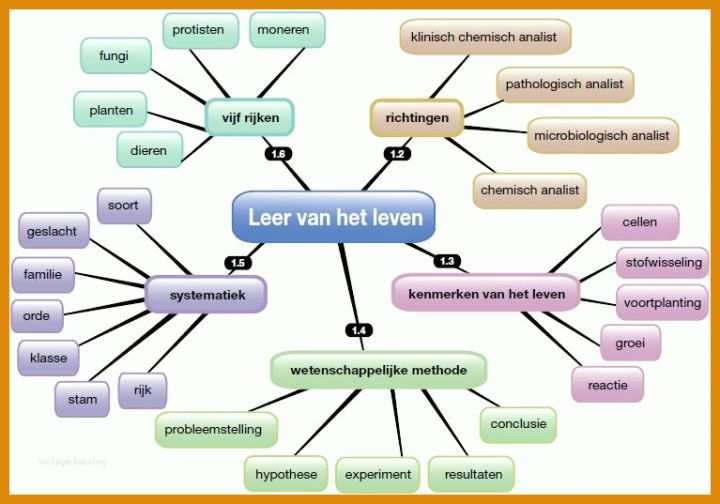 Außergewöhnlich Mindmap Vorlage Leer 767x537