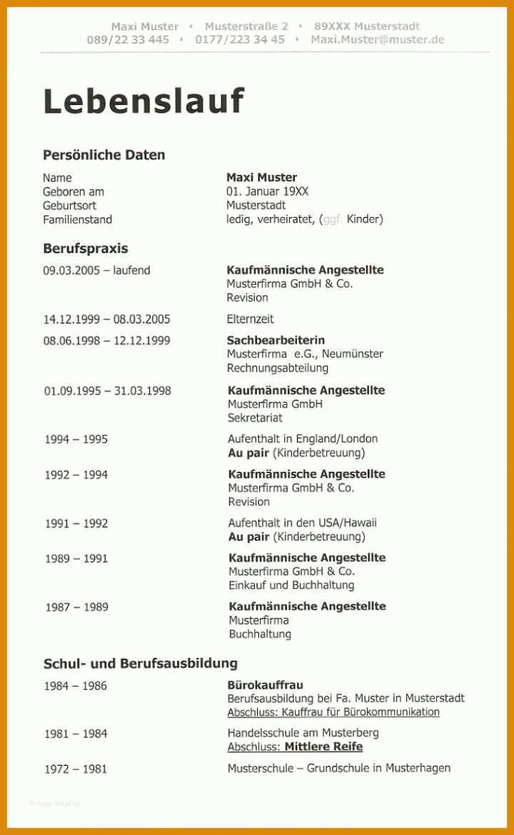 Spezialisiert Moderner Lebenslauf Vorlage 734x1193