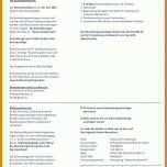 Allerbeste Pdf Lebenslauf Vorlage 724x1024