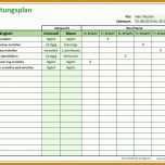 Bemerkenswert Reinigungslisten Vorlage 1011x750