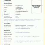 Auffällig Anzeigentext Stellengesuch Vorlage 2269x2760