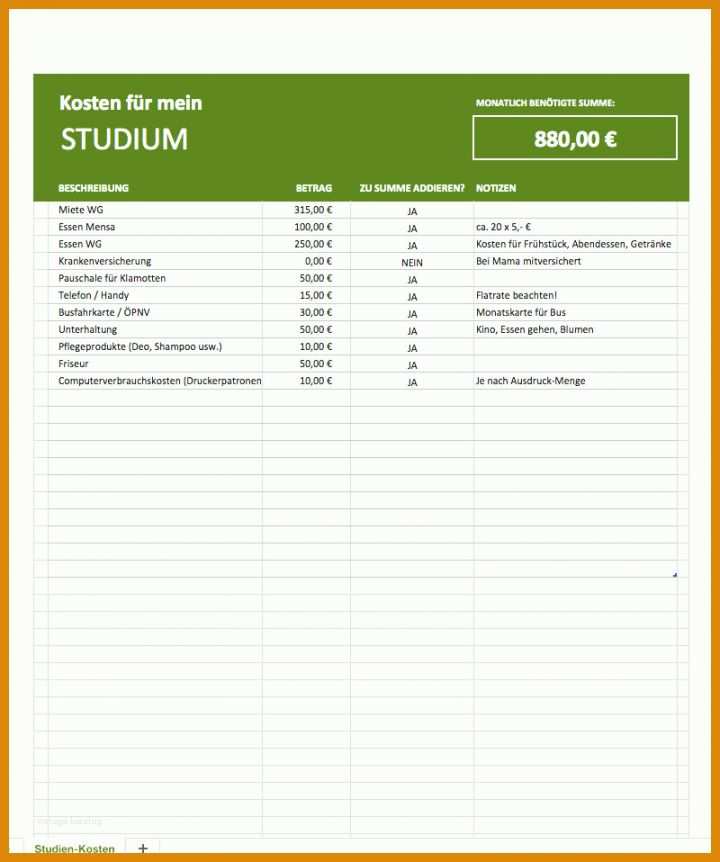 Exklusiv Energieausweis Excel Vorlage 800x958