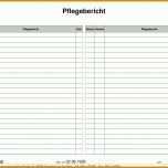 Toll Pflegebericht Vorlage 1497x1058