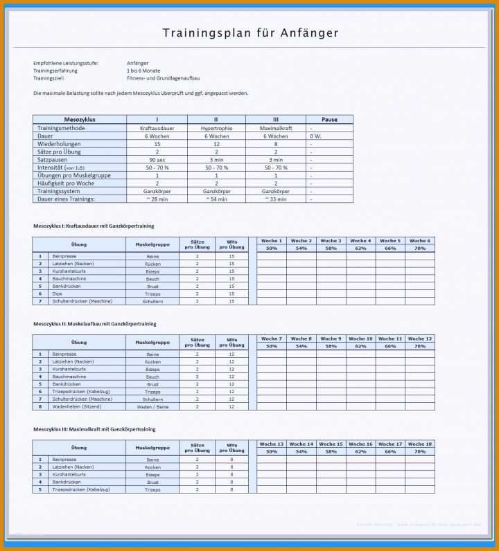 Unvergleichlich Trainingsplan Erstellen Vorlage 1329x1469