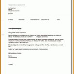 Beeindruckend Auftrag Vorlage Pdf 1033x1460