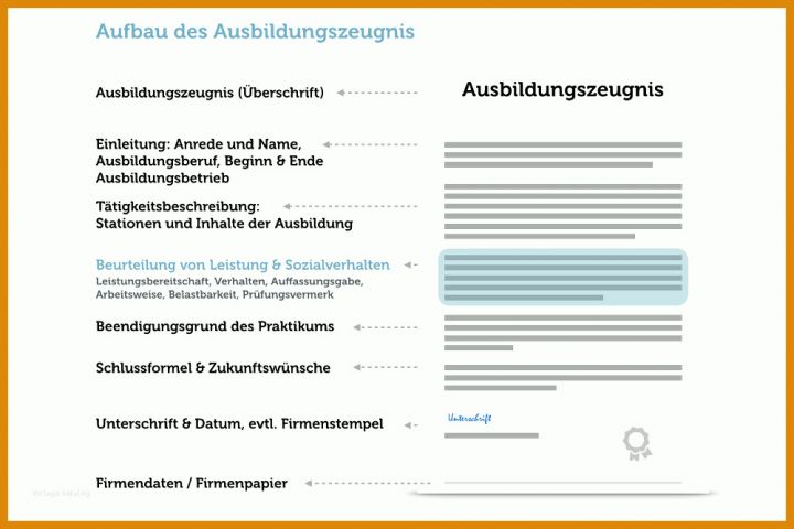 Faszinierend Ausbildungszeugnis Vorlage 1000x667