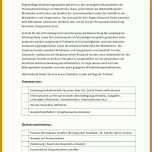 Limitierte Auflage Jährliches Mitarbeitergespräch Vorlage 728x1030