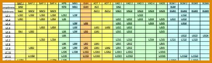 Rühren Kompetenzmatrix Vorlage Excel Kostenlos 836x248