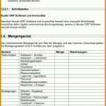 Größte Pflichtenheft Erp Vorlage 960x1453