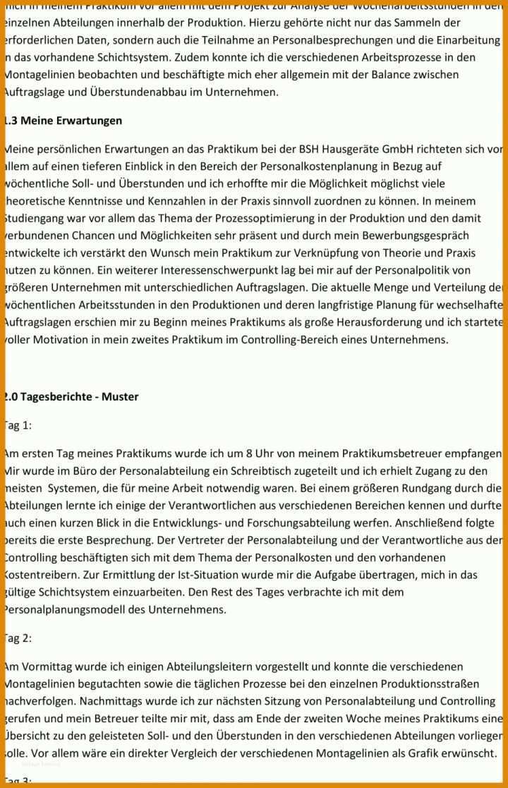 Überraschend Praktikumsbericht Vorlage 960x1489