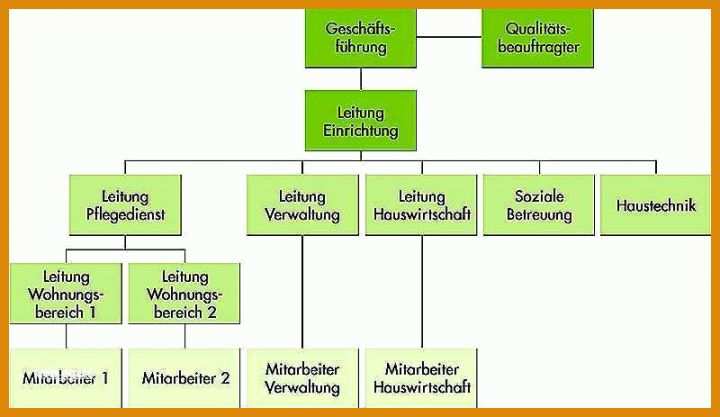 Neue Version Qm Hebamme Vorlage 800x463