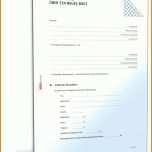 Beste Reparaturauftrag Vorlage 1600x2100