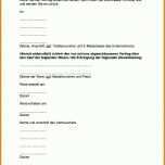 Phänomenal Anzeigentext Stellengesuch Vorlage 1239x1754
