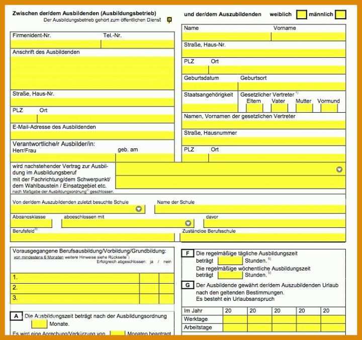 Tolle Ausbildungsvertrag Vorlage Kostenlos 739x694